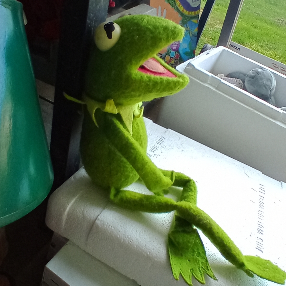 1976 Kermit the frog 🐸